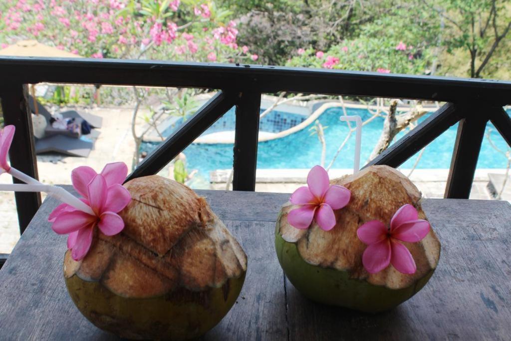 Lombok Coconut Hotel Mangsit Exterior photo